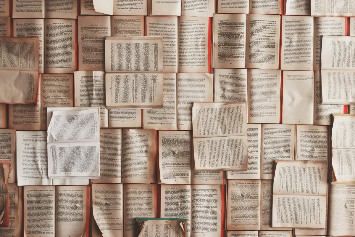How Many Words Do You Really Need for SEO in 2025? » Huckleberry Branding