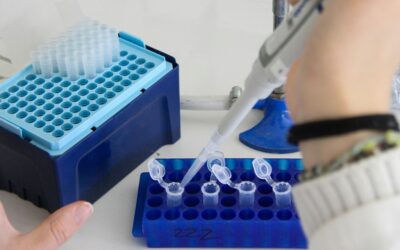 SEO & PPC Case Study for an Antibody Drug Discovery Company