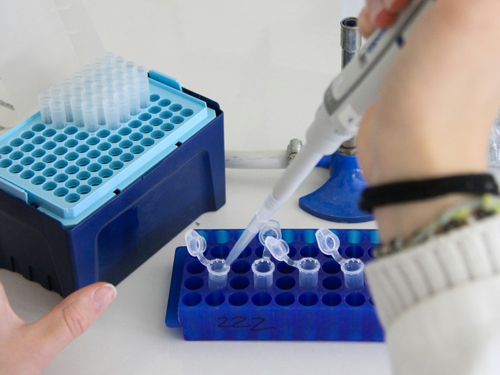 SEO & PPC Case Study for an Antibody Drug Discovery Company